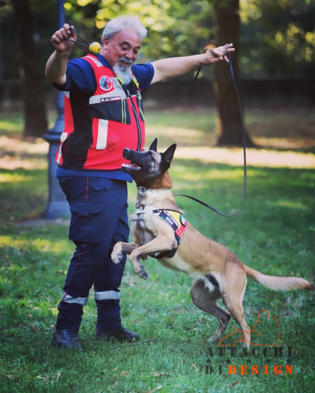 Read more about the article IL MONDO DEL CANE DA LAVORO